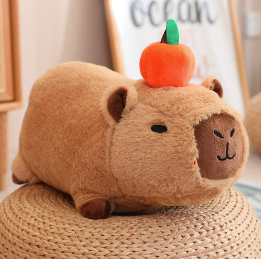 Mr Capybara©
