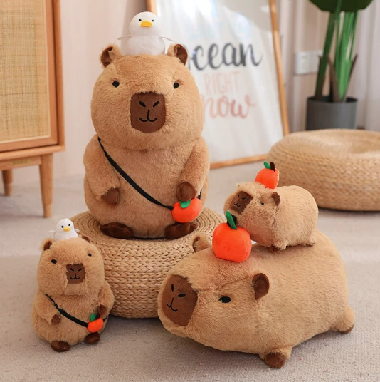 Mr Capybara©