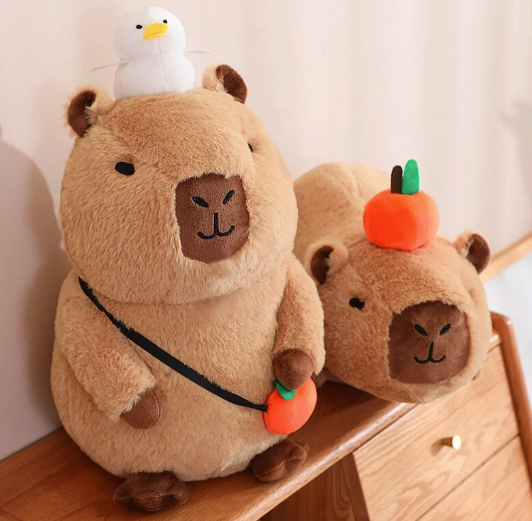 Mr Capybara©