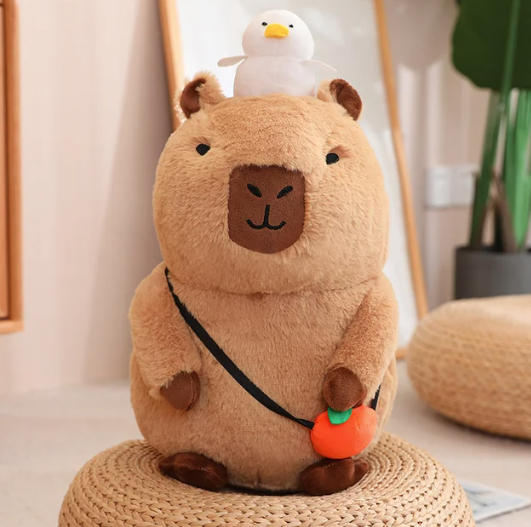 Mr Capybara©